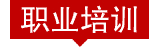 职业培训